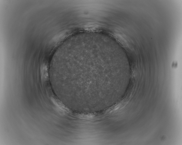 X0000093531106200710261245