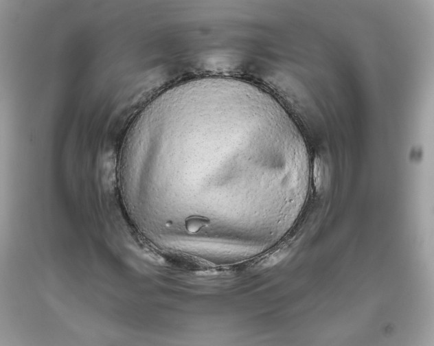 X0000093531107200710261245