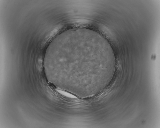 X0000093531108200710261245