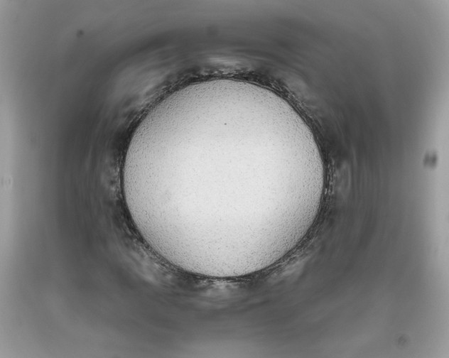 X0000093531109200710261245