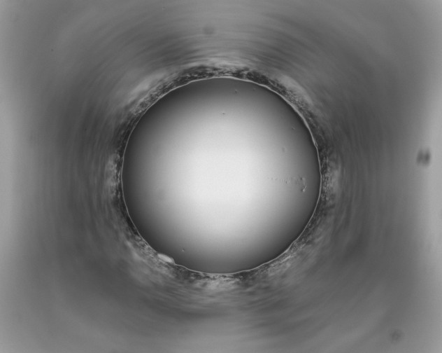 X0000093531110200710261245