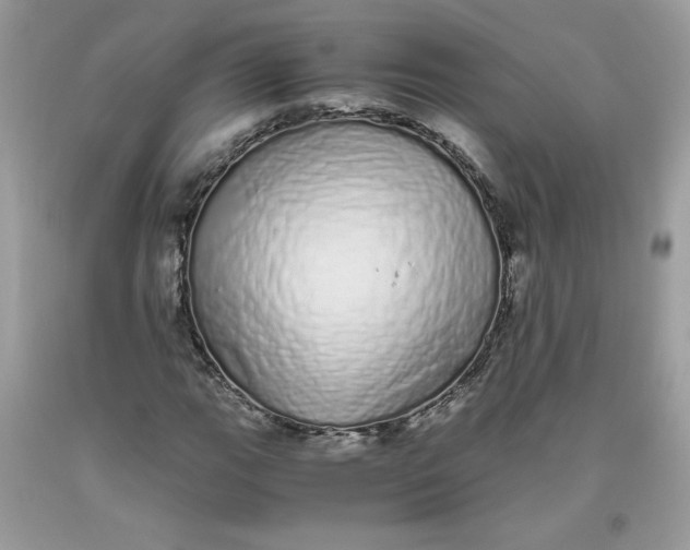 X0000093531111200710261245