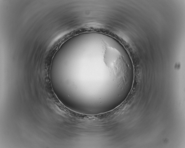 X0000093531112200710261245