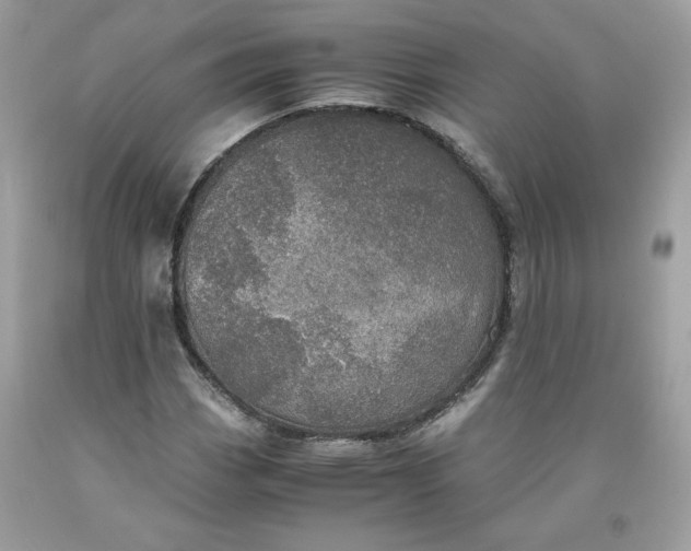 X0000093531113200710261245