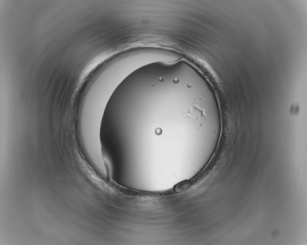 X0000093531114200710261245