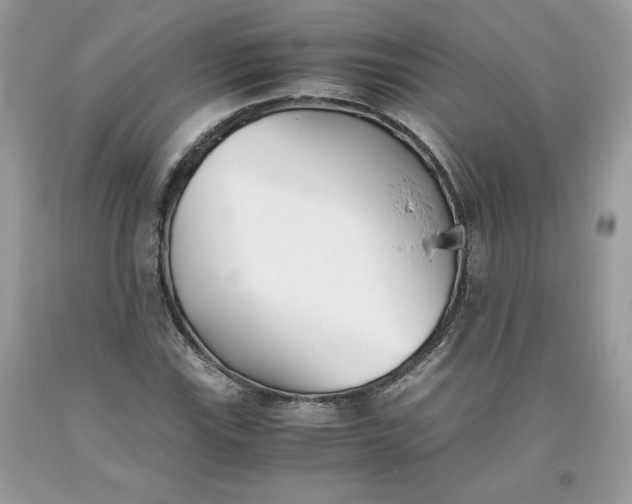 X0000093531115200710261245