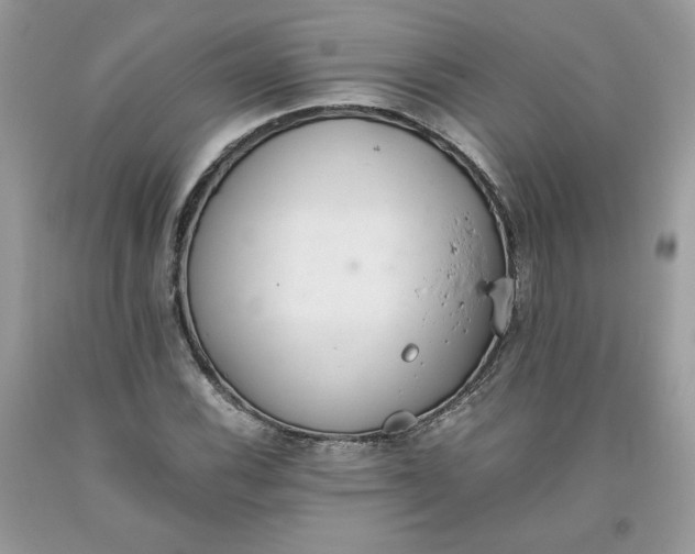 X0000093531116200710261245