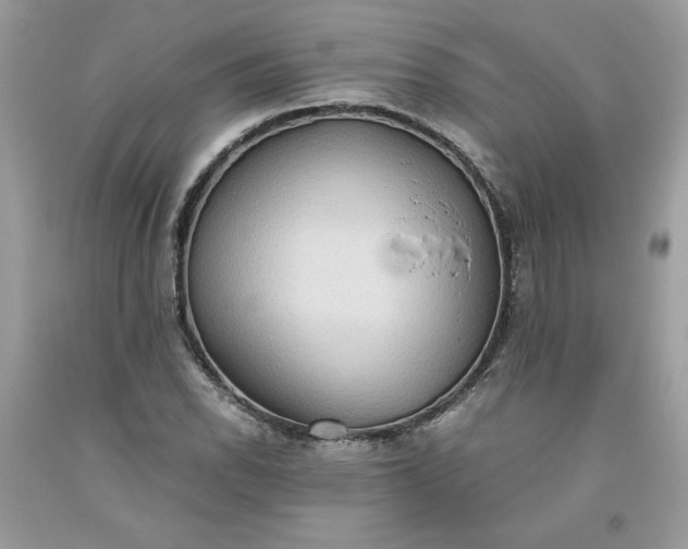 X0000093531118200710261245