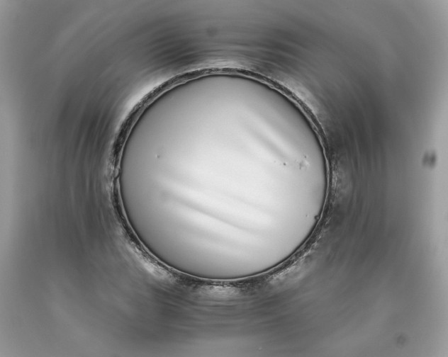 X0000093531119200710261245