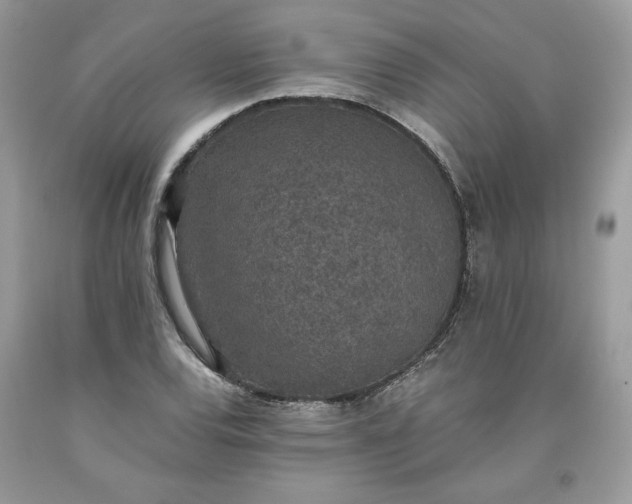 X0000093531120200710261245