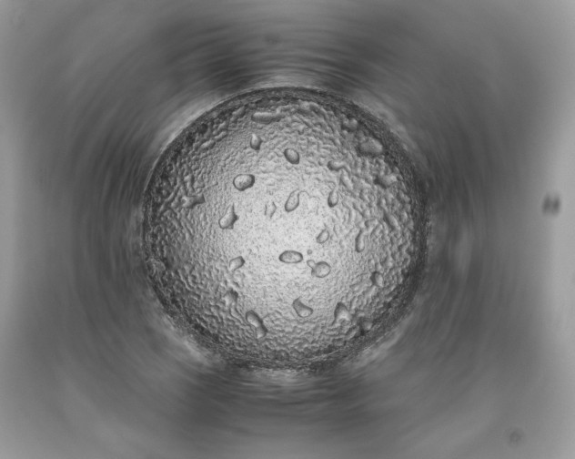 X0000093531121200710261245