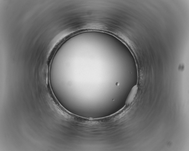 X0000093531123200710261245