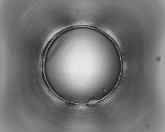 X0000093531124200710261245