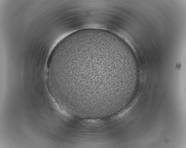 X0000093531125200710261245