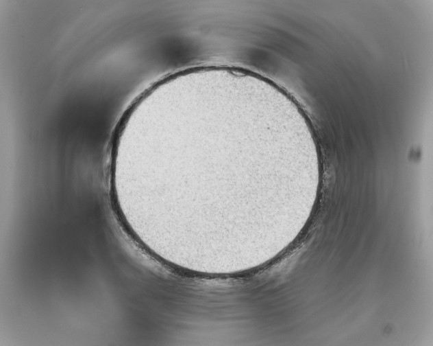 X0000093531126200710261245