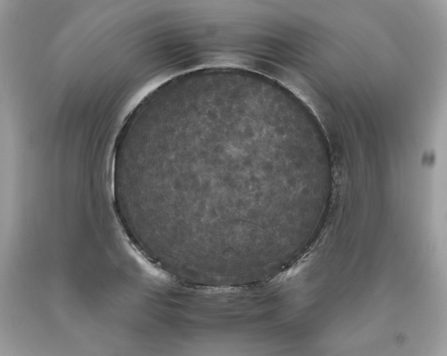 X0000093531127200710261245