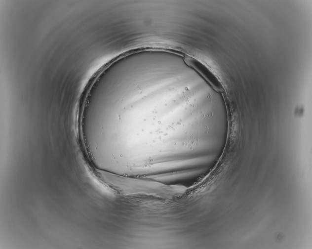 X0000093531128200710261245