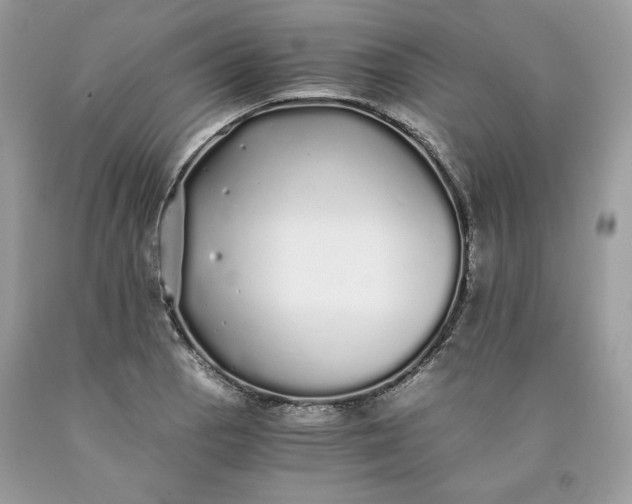 X0000093531129200710261245