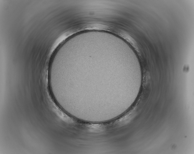 X0000093531130200710261245