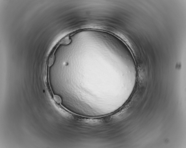 X0000093531131200710261245