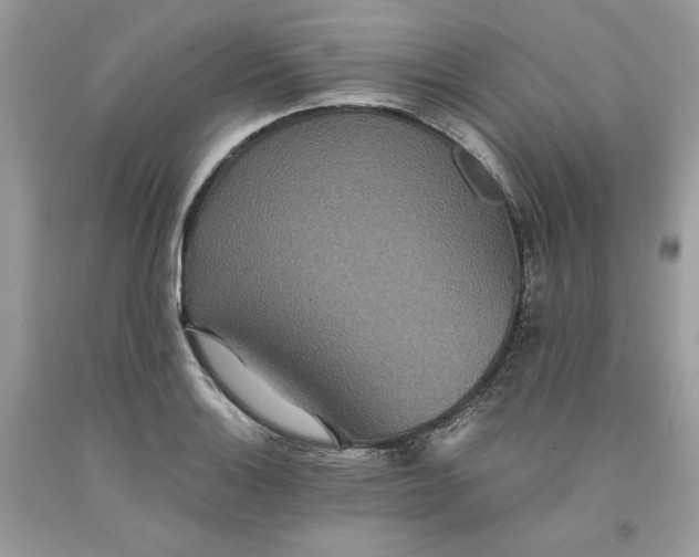 X0000093531132200710261245