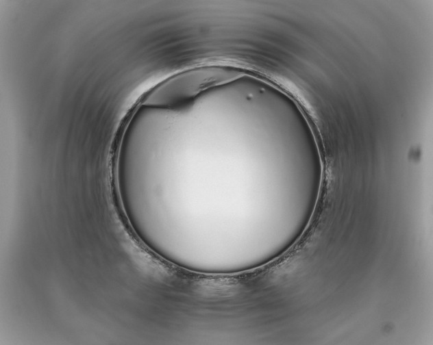 X0000093531133200710261245