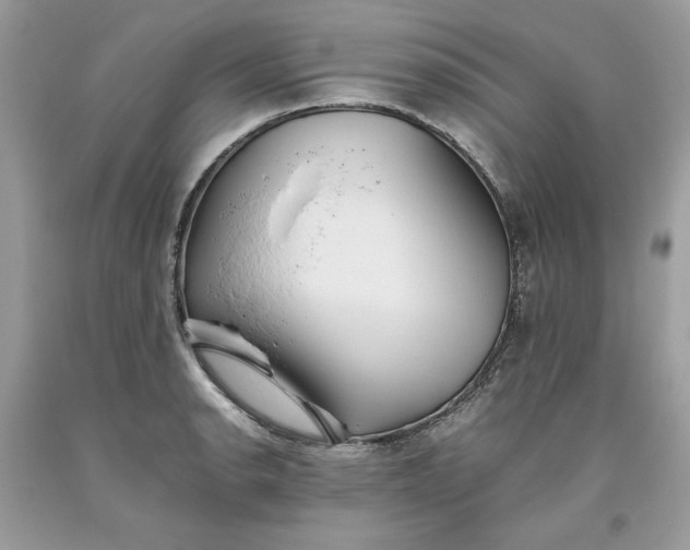 X0000093531134200710261245