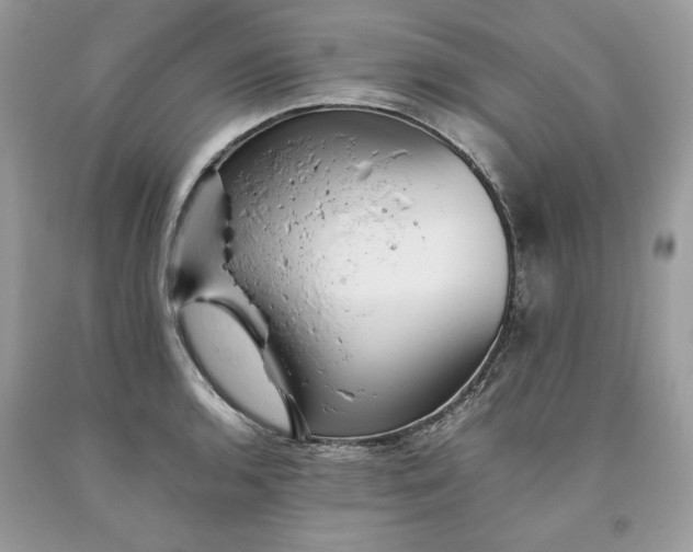 X0000093531136200710261245