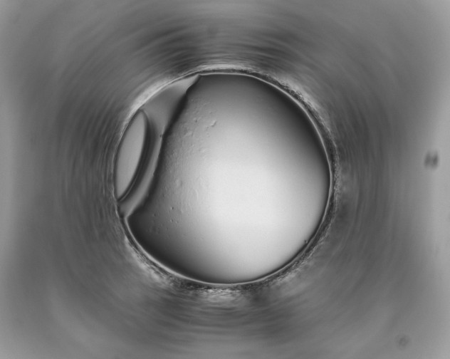 X0000093531137200710261245