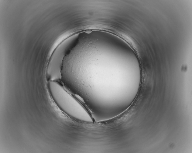 X0000093531138200710261245