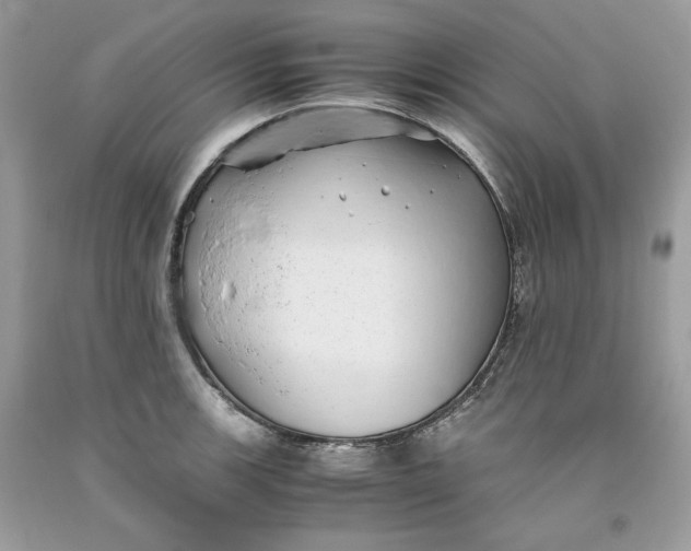 X0000093531139200710261245