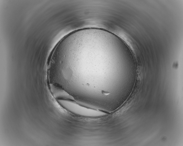 X0000093531140200710261245