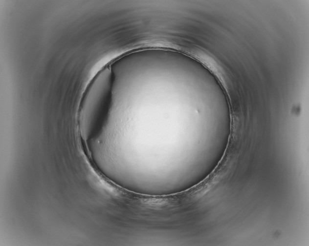 X0000093531141200710261245