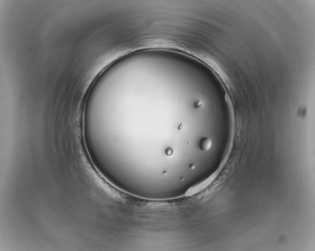 X0000093531142200710261245