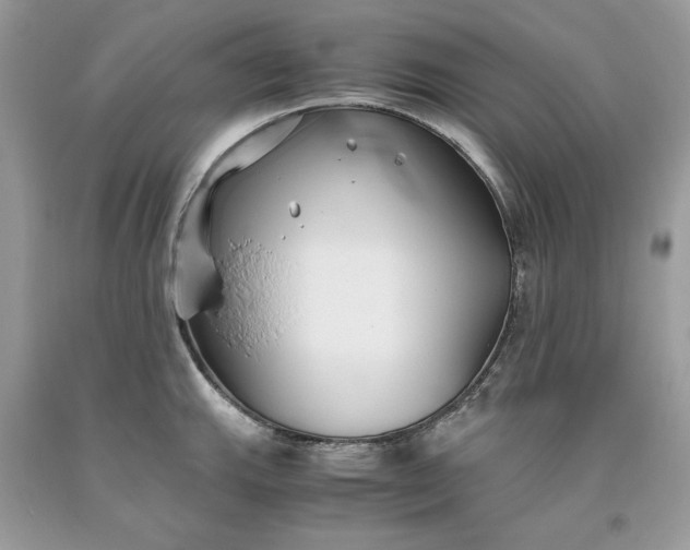 X0000093531143200710261245