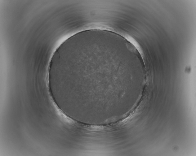 X0000093531144200710261245