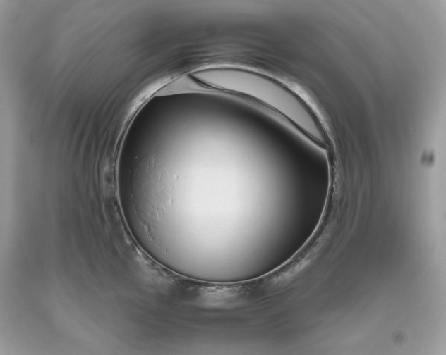 X0000093531145200710261245