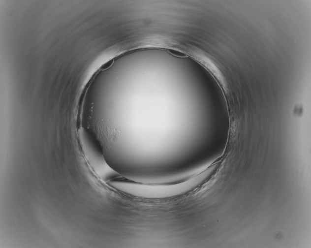 X0000093531146200710261245