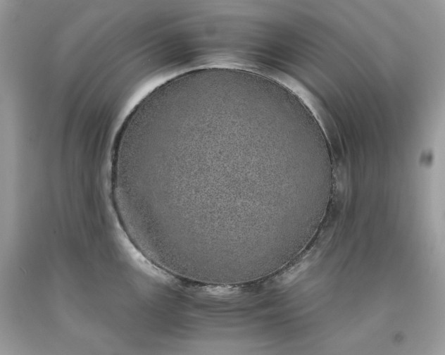 X0000093531147200710261245