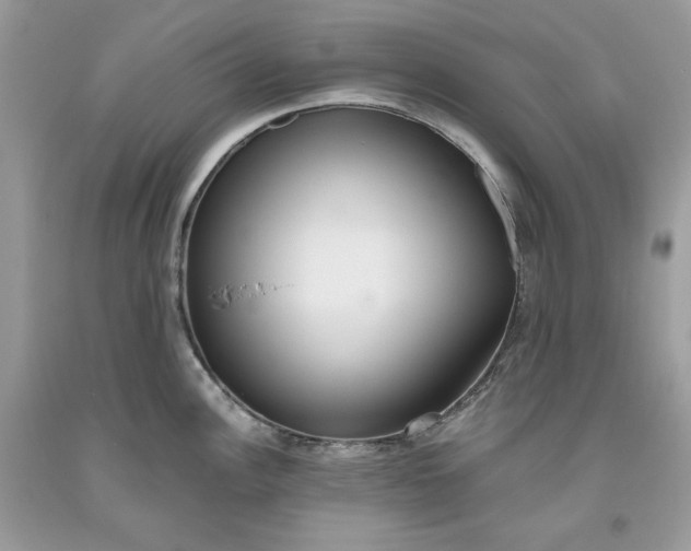 X0000093531148200710261245