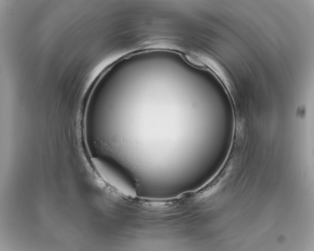 X0000093531149200710261245