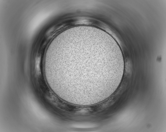 X0000093531150200710261245