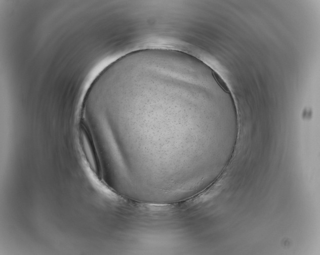 X0000093531152200710261246