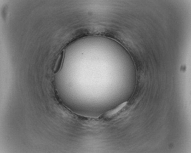 X0000093531153200710261245