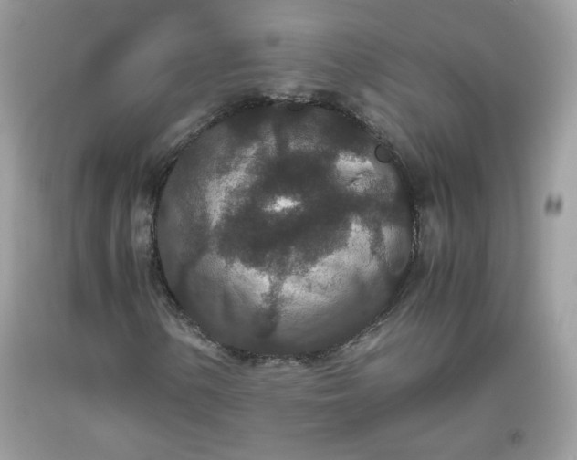 X0000093531154200710261245