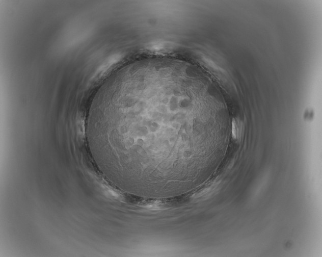 X0000093531155200710261245