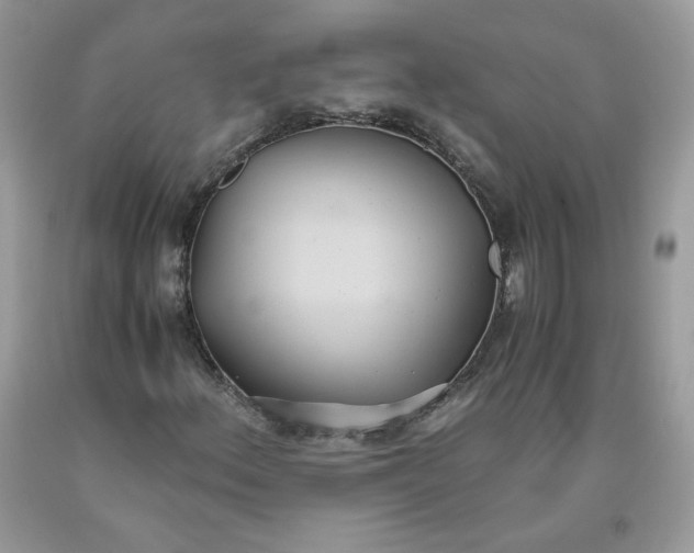 X0000093531156200710261245