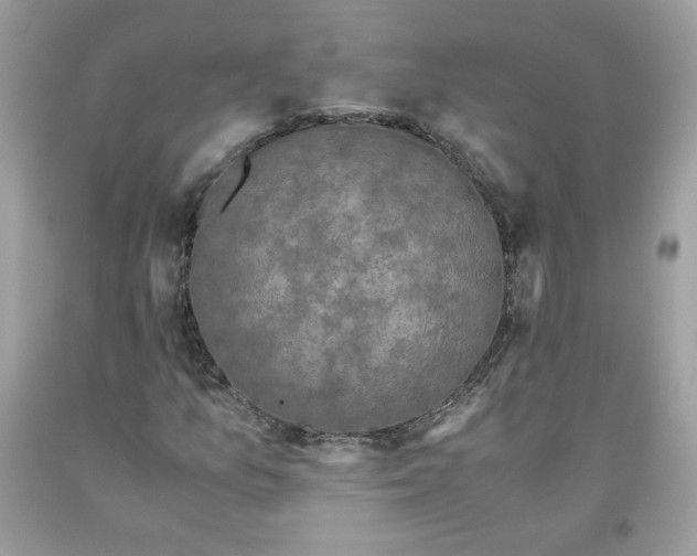 X0000093531157200710261245