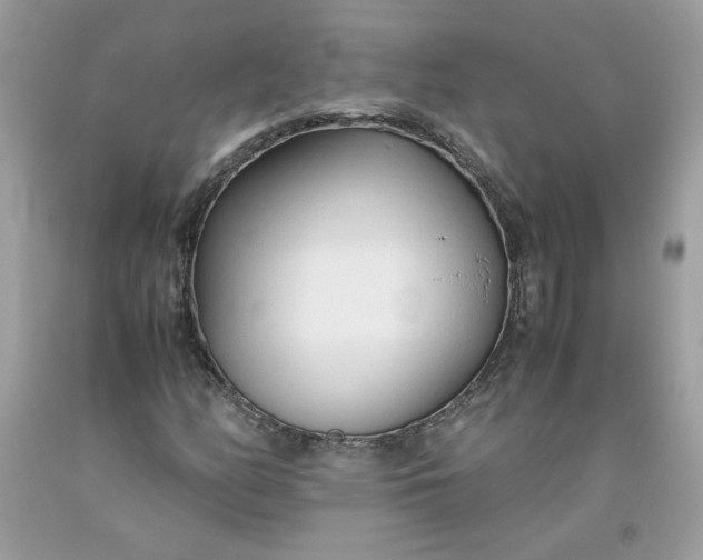 X0000093531158200710261245