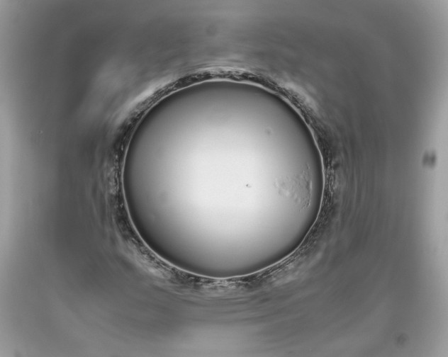 X0000093531159200710261245